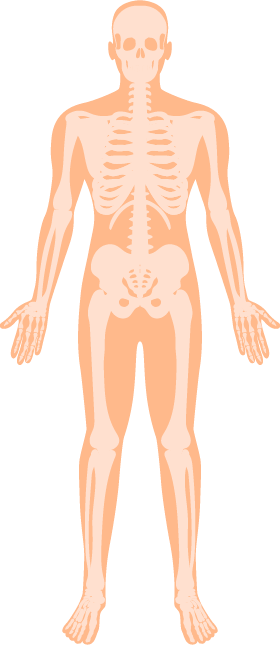 cuerpo estatico vademecum